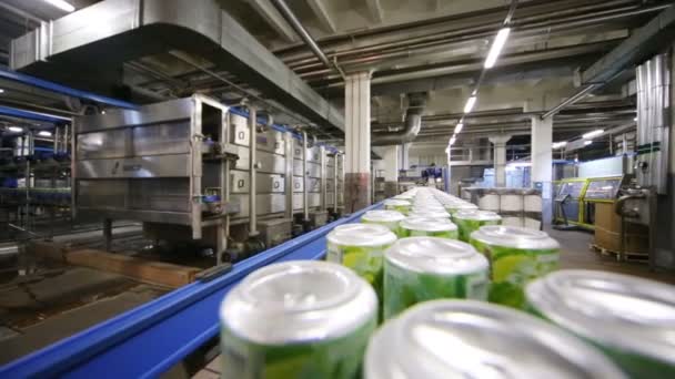 Green cans with drinks on conveyor — Stock Video