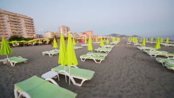 Row of green sun loungers and umbrellas — Stock Video