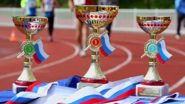 Prize cups for winners of Moscow supermarathon — Stock Video