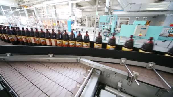 Filled brown bottles on conveyor — Stock Video