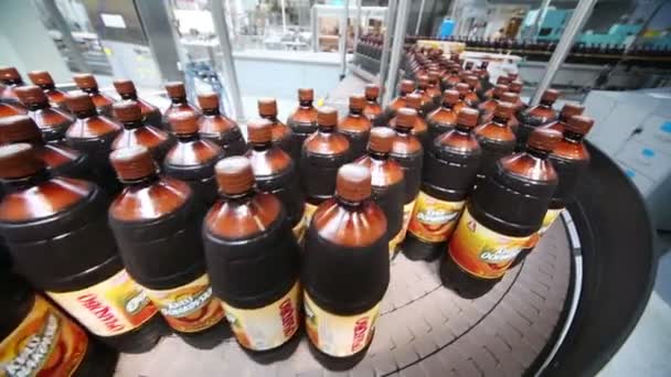 Molte bottiglie di birra sul trasportatore — Video Stock