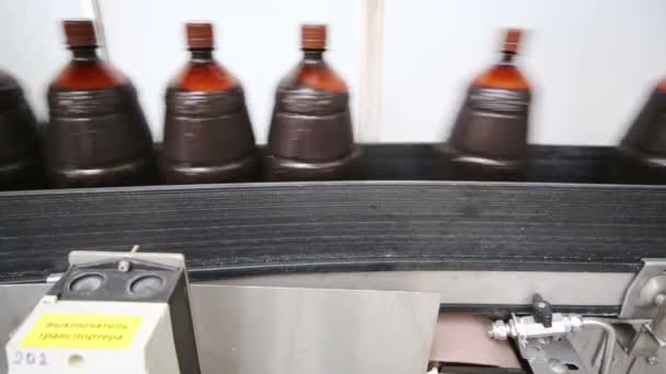 Vele bruine flessen op de transportband lijn — Stockvideo