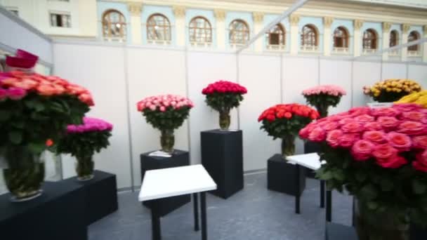 美丽的花瓶中的玫瑰花束 — 图库视频影像