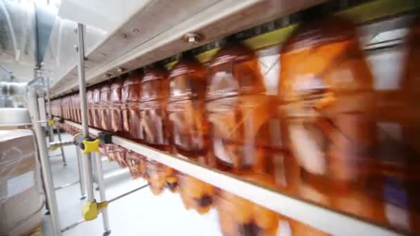 Brown plastic bottles moving on conveyor — Stock Video