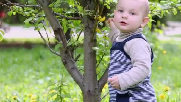 Mały chłopiec bawi się żółty mniszek lekarski — Wideo stockowe