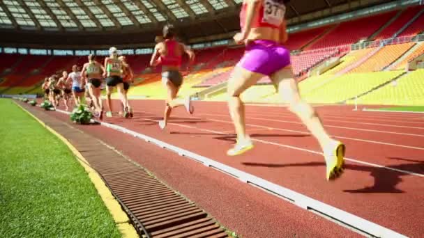 Sportswomen run long-distance race — Stock Video