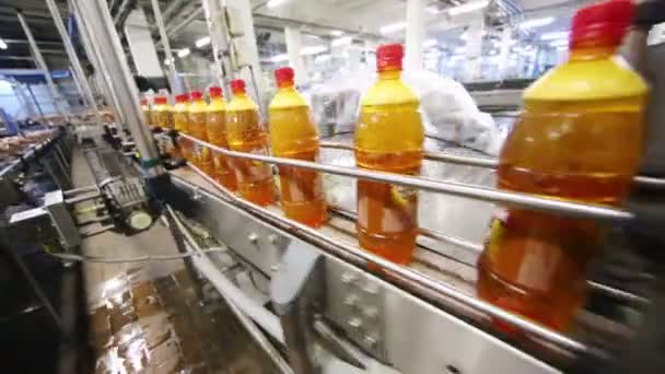 Botellas con cerveza ligera en el transportador — Vídeo de stock