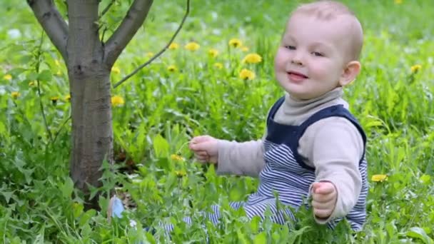 Kleine jongen zit op gras en speelt — Stockvideo