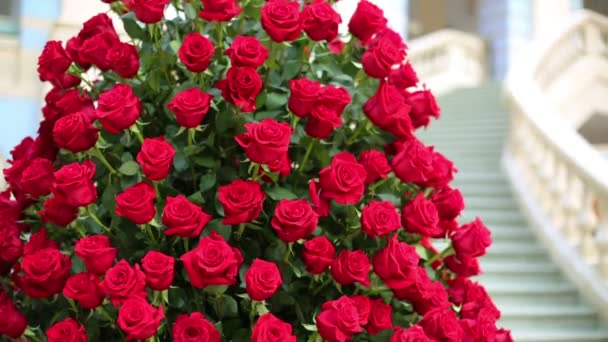 Bellissimo grande mazzo di rose rosse — Video Stock