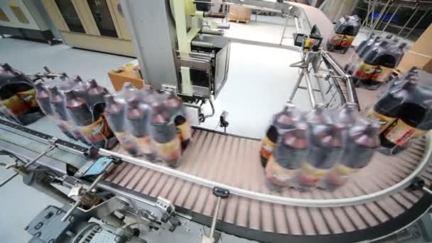 Brown plastic bottles move at conveyor — Stock Video