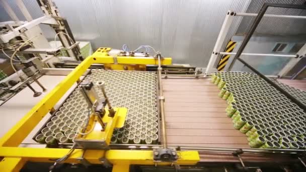 Aluminum cans for drinks move on conveyor — Stock Video