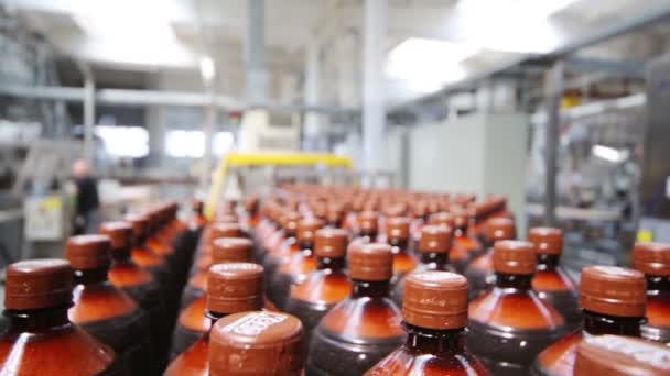 Many bottles on conveyer in large brewery — Stock Video