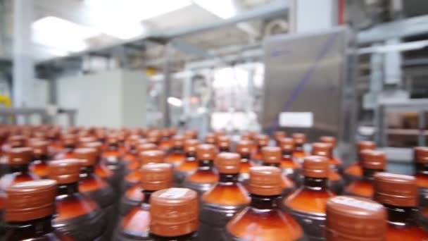 Bouteilles avec boisson liquide sombre — Video