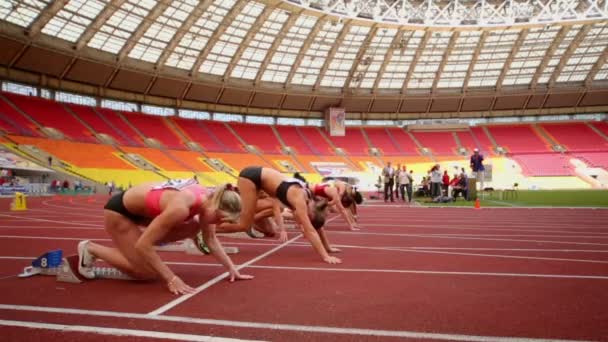 Deportivas se prepara para el inicio de la carrera . — Vídeo de stock