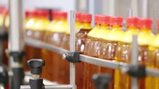 Bottiglie in movimento sul trasportatore in birreria — Video Stock