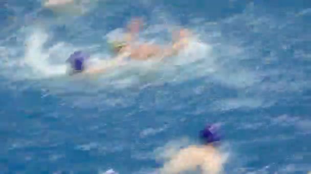 Гравці водного поло проходять м'яч — стокове відео