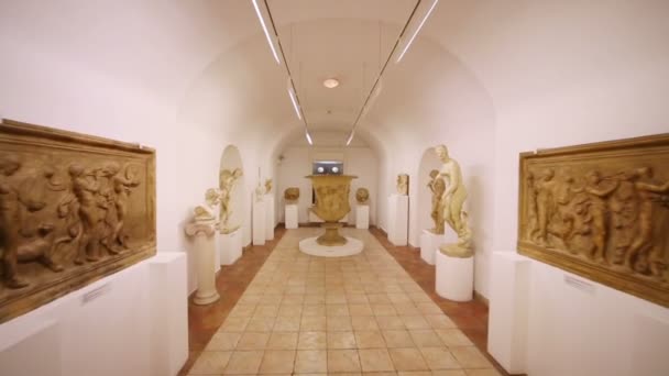 Sculptures at House of Dolgorukov palace — Stock Video
