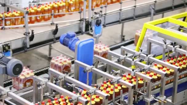 Bottles moving on conveyer line — Stock Video