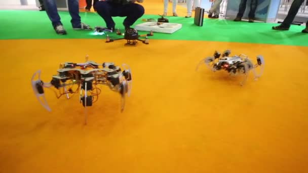 Inventor demostrando el movimiento del robot araña — Vídeo de stock