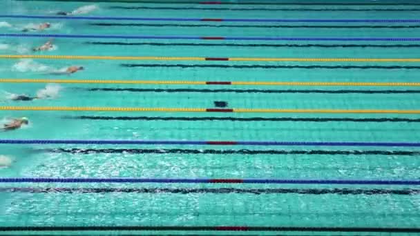 Sportswomen nadar acidente vascular cerebral borboleta — Vídeo de Stock