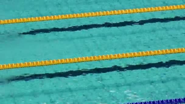 खेळाडू पूल मध्ये बॅकस्ट्रोक पोहतात — स्टॉक व्हिडिओ