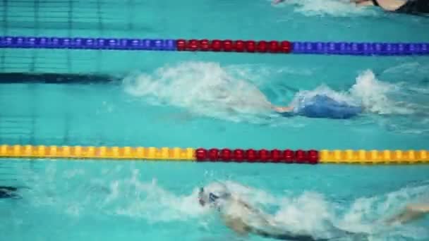 Mehrere Sportlerinnen schwimmen im Schmetterlingsstil — Stockvideo