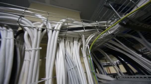 Много кабелей для серверного оборудования — стоковое видео