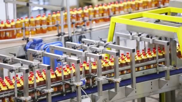 Бутылки движутся по конвейерной линии — стоковое видео