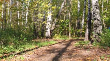 Ormanın içinden hızlı bir şekilde çalışan çocuk