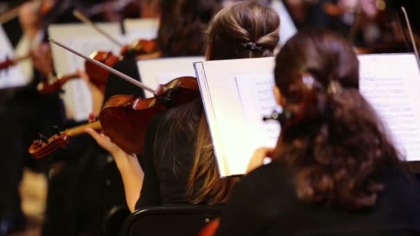 Violinistas tocando en orquesta en el conservatorio del escenario — Vídeo de stock