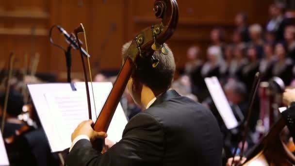 Violoncellist spielt im Orchester auf der Bühne Wintergarten — Stockvideo