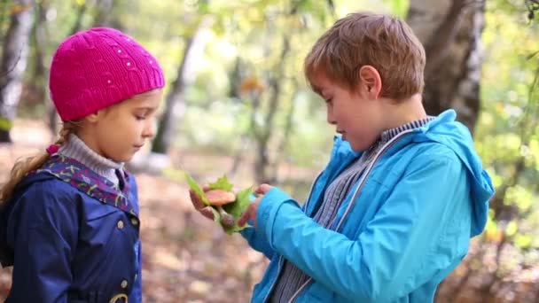 Bruder und Schwester mit Pilz in der Hand — Stockvideo