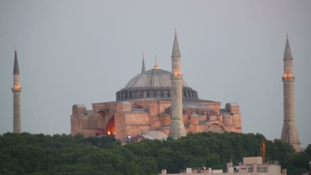 Hagia Sophia i Istanbul, Tyrkia – stockvideo