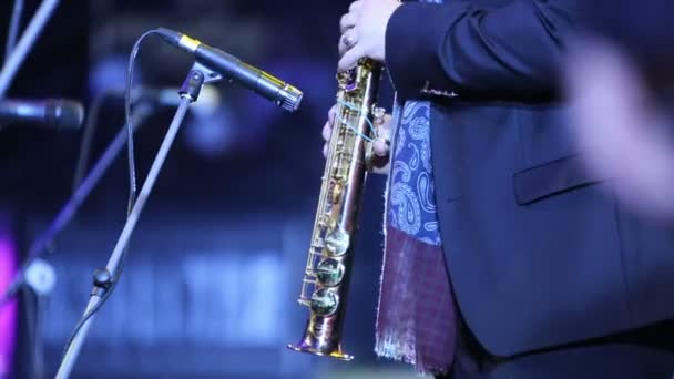 Александр Бриль играет на концерте — стоковое видео