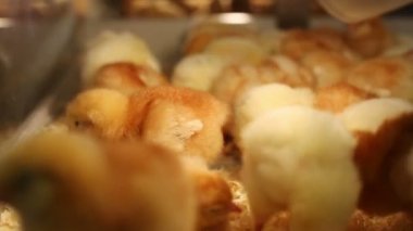 Sarı bebek civcivlerin grup