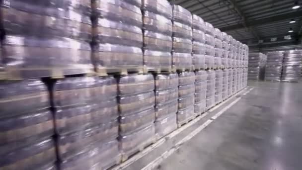 Lot of stacks with packaged beer in warehouse — Stock Video