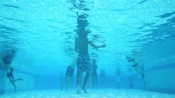 Vue sous-marine de nombreuses personnes dans la piscine — Video