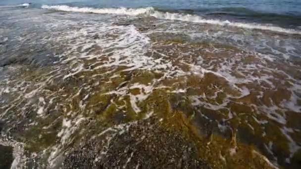 Les vagues courent, se brisent sur le littoral vide — Video