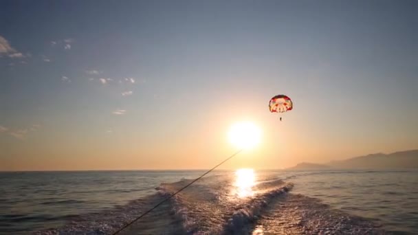 Glider flugor över havet — Stockvideo