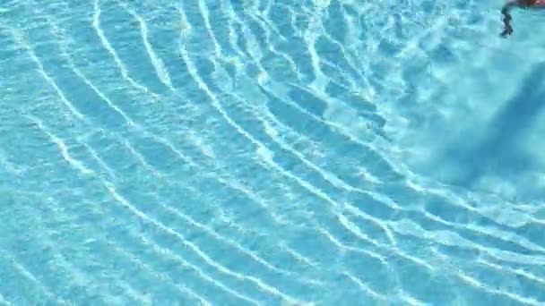 Petit garçon nage dans la piscine — Video