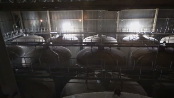 Big cisterns for beer in large premises — Stock Video