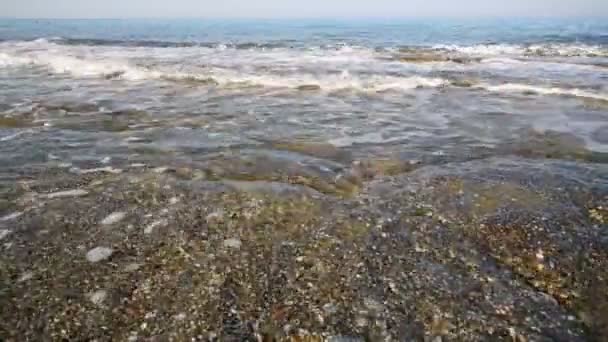 Lichte surf op lege kustlijn — Stockvideo