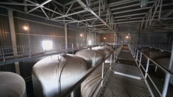 Hangar grande con cisternas grandes para cerveza — Vídeo de stock