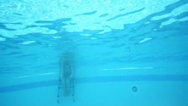 Underwater Visa att dykning vacker flicka — Stockvideo