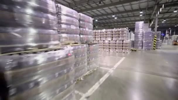 Many stacks with packaged beer in warehouse — Stock Video