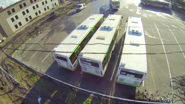 Plusieurs bus garés dans un grand parking — Video