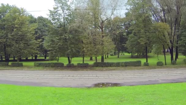 Twee trams verplaatsen op spoor — Stockvideo