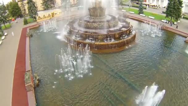 Декілька фонтанів в парк ставку — стокове відео
