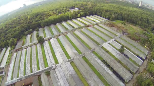 Lote con invernaderos para verduras — Vídeos de Stock