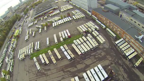 Aparcamiento de autobuses en la estación — Vídeo de stock